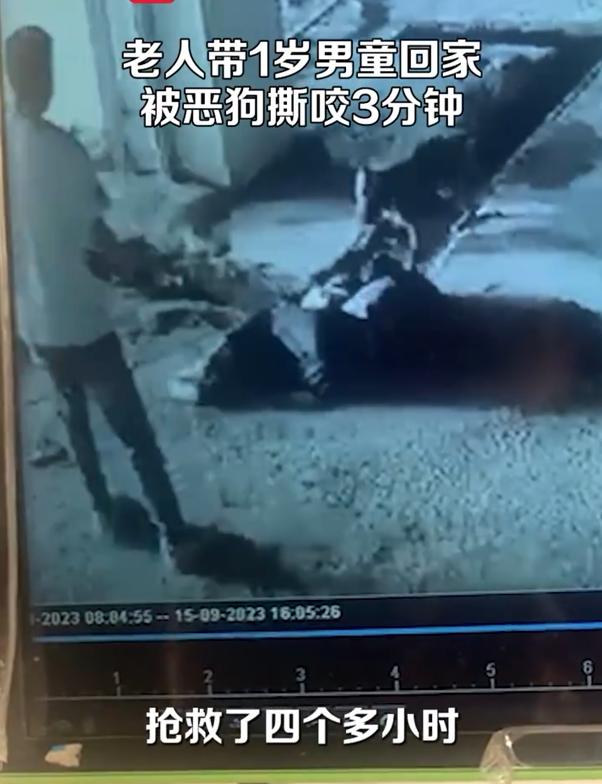 老人带1岁男童回家被恶狗撕咬3分钟