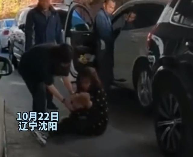 未拴绳的狗被车压死，主人自责扇脸哭喊：妈求你了你不能死